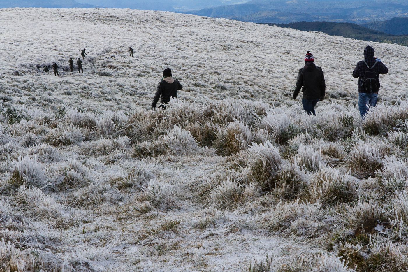Geada em manhã de temperatura negativa em Urupema, na serra catarinense. 23 de julho de 2013.
